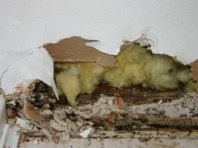 Professional fire damage services in Scottsdale